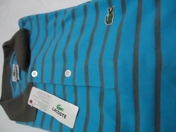 Lacoste (azul claro e cinza)